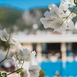 Potamitis Hotel apartamentowy Alikes
